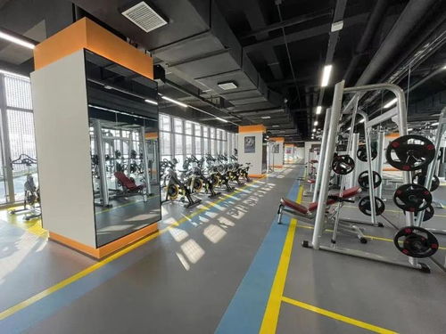 关于开放临沂市工人文化宫健身房场馆的公告